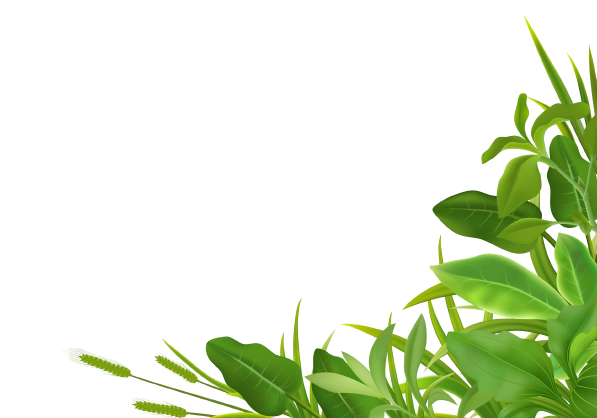 Green Horizon Paysagiste Sollies Pont Img After 1