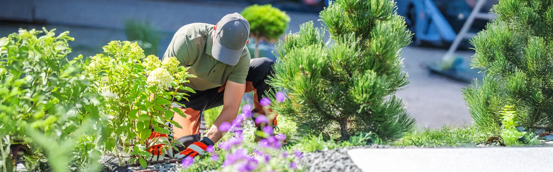 Paysagiste au Pradet